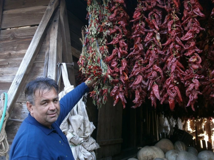 Paprika
