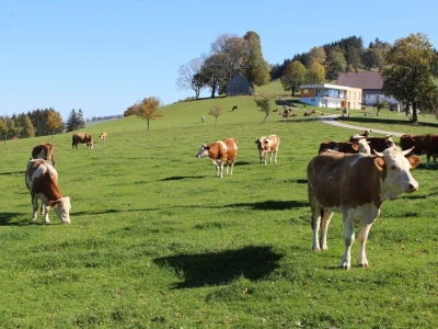 Biohof Ebenbauer - ekološka farma u austrijskim Alpima