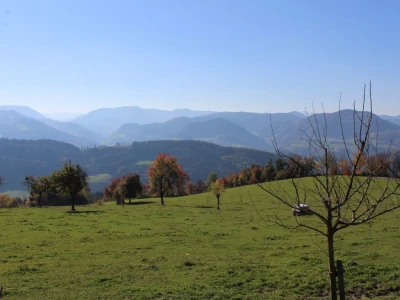 Biohof Ebenbauer - ekološka farma u austrijskim Alpima