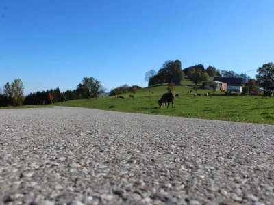Biohof Ebenbauer - ekološka farma u austrijskim Alpima