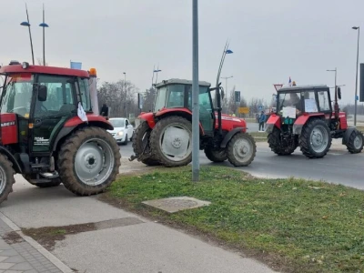 Blokada kružnog toka u Novom Sadu