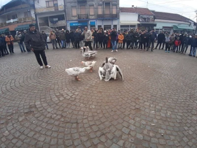 Borba gusana