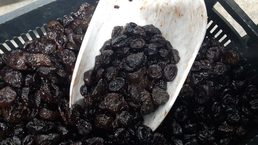 suva &scaron;ljiva