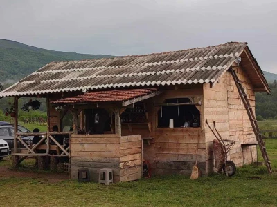 Brdski konj