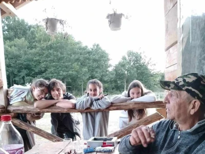 Brdski konj
