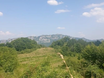 Bušama spasili porodično imanje