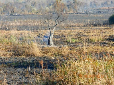 Ponjavica i Mali vršački rit