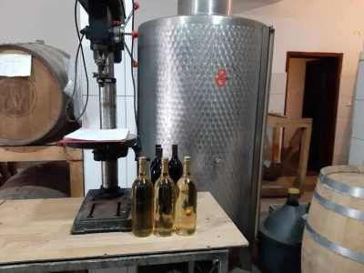 Čaša sa vinom