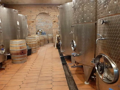 Čaša sa vinom