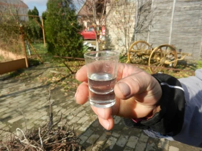 Mlada rakija