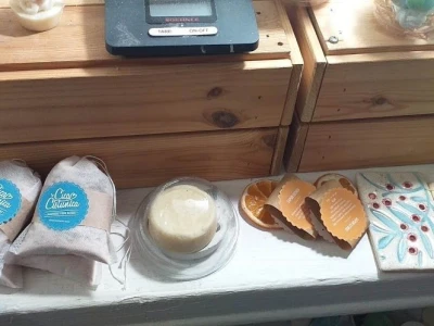 Cica Čistunica
