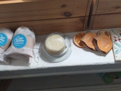 Cica Čistunica