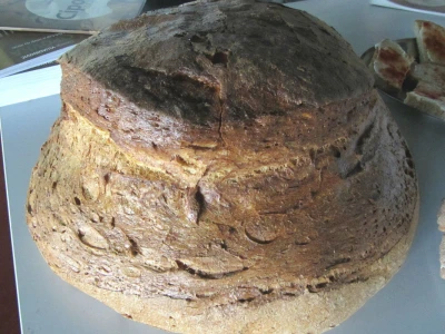 Cipovka