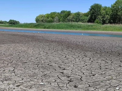 Čonopljansko jezero - pomor ribe