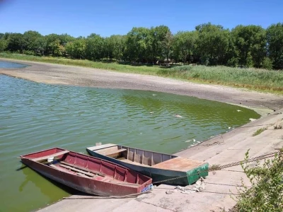Čonopljansko jezero - pomor ribe