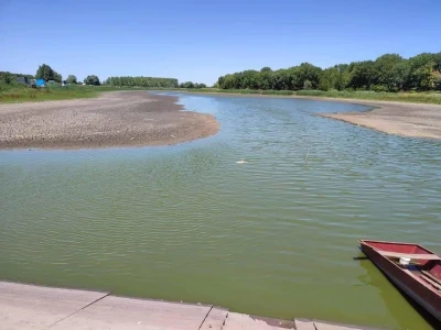 Čonopljansko jezero - pomor ribe