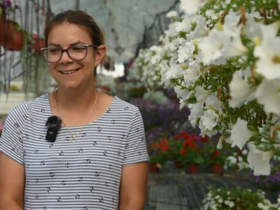 Cveće pripreme za jesenju sezonu