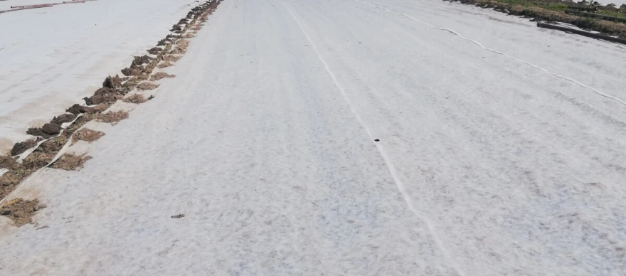 Karfiol pokriven agrilom