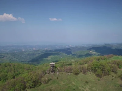 Da li ste probali sremuš?