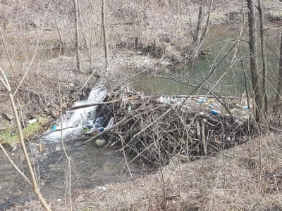 Dabar - Od istrebljenja do velikog povratka na srpske reke