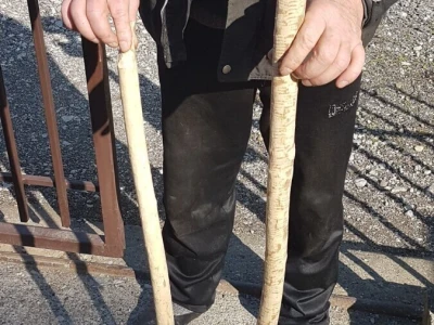 Dabar - Od istrebljenja do velikog povratka na srpske reke