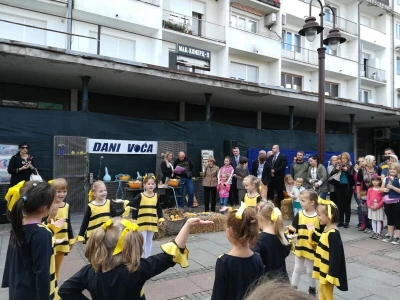 Dani voća u Brčkom