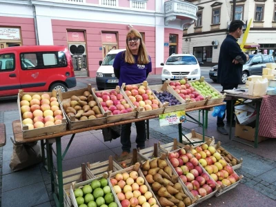 Dani voća u Brčkom