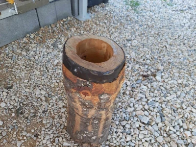 Dejan sa suprugom