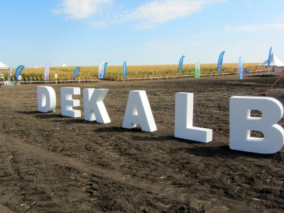 Dekalb