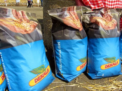 Dekalb seme
