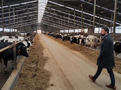 Deltina farma goveda na Petrović salašu