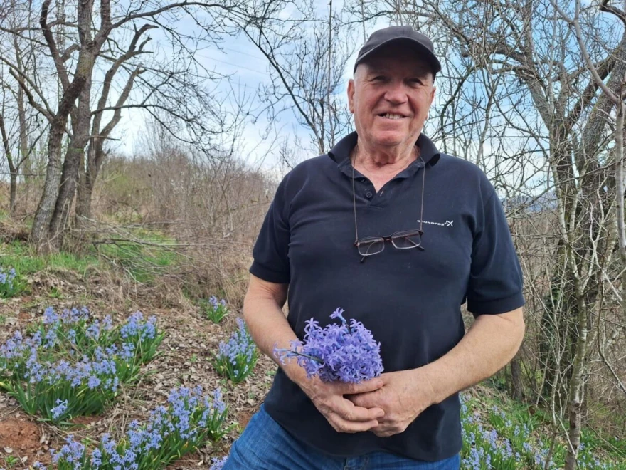 I dan danas cvetaju kao prvih godina kada su posađeni, kaže Du&scaron;an