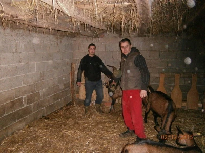Đorđevića avlija - Vladimir i Miloš