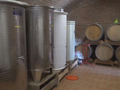 Dobar kvalitet ovogodišnjeg grožđa