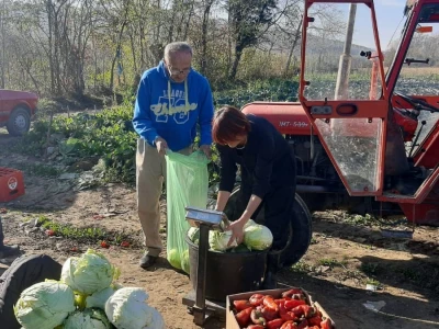 Dobra godina za proizvodjace kupusa, foto: M. Lazarević