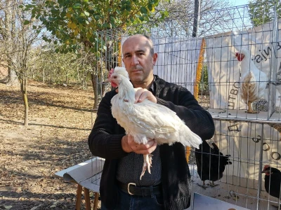 Domaća autohtona živina važan resurs Srbije