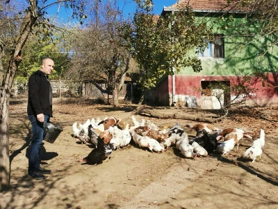 Domaća autohtona živina važan resurs Srbije