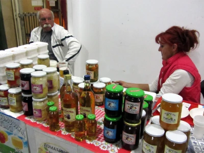Domaćinstvo Nikolić