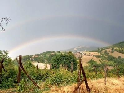 Dopisnik u malinama