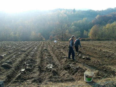 Dr Aleksandar Ristic  i lekovito bilje