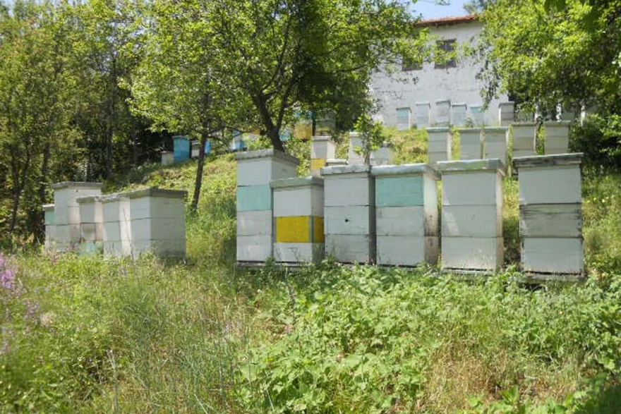 Ko&scaron;nice drži daleko od potencijalnog zagađenja 