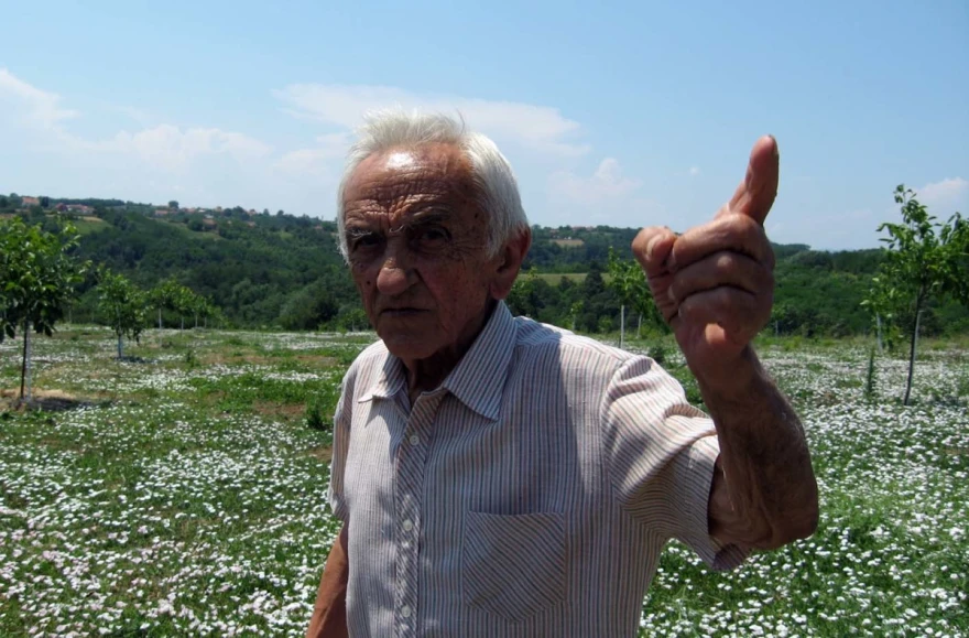 Dragan