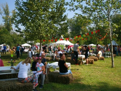 Drugi gastronomski festival "Ukusi Vojvodine"