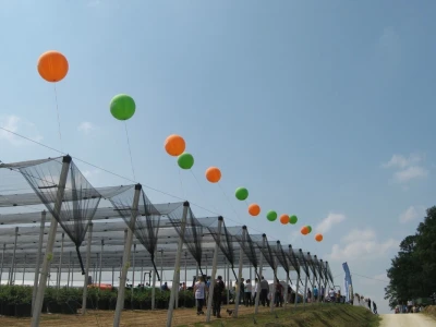 Drugi Sabor voćara u Gruži 2018