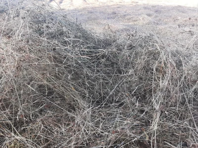 Đubrenjem livada dobija se kvalitetnije seno