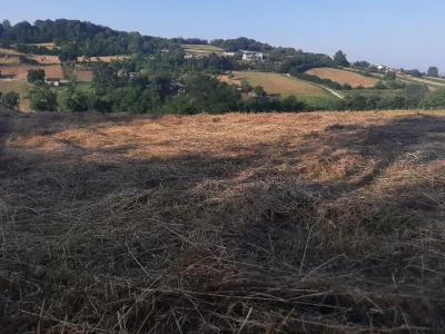 Đubrenjem livada dobija se kvalitetnije seno