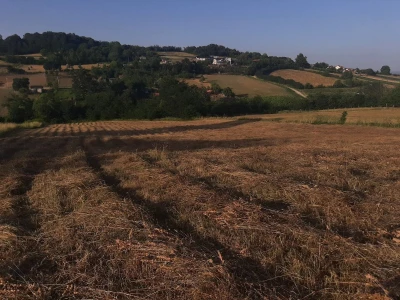Đubrenjem livada dobija se kvalitetnije seno