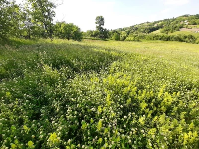 Đubrenjem livada dobija se kvalitetnije seno