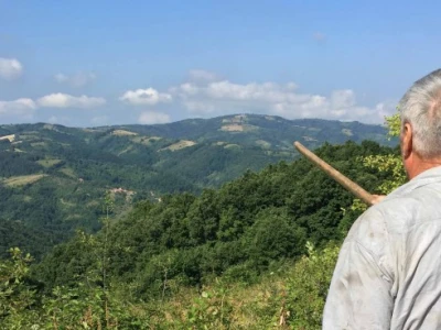 Pogled na Crni vrh