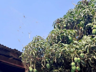 Ekspedicija Madagaskar